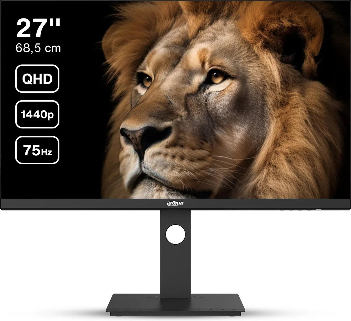 Dahua 27 inch LM27-P301A QHD IPS Monitor 75 Hz USB-C