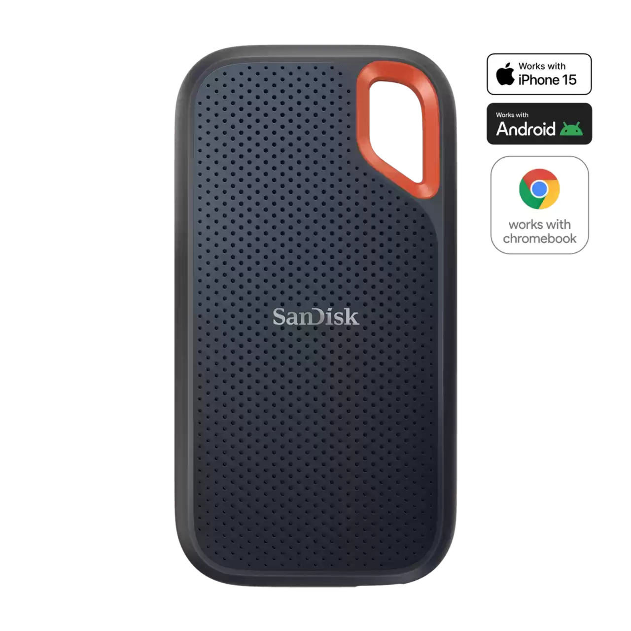 SanDisk Extreme 1TB Portable SSD - SDSSDE61-1T00-G25